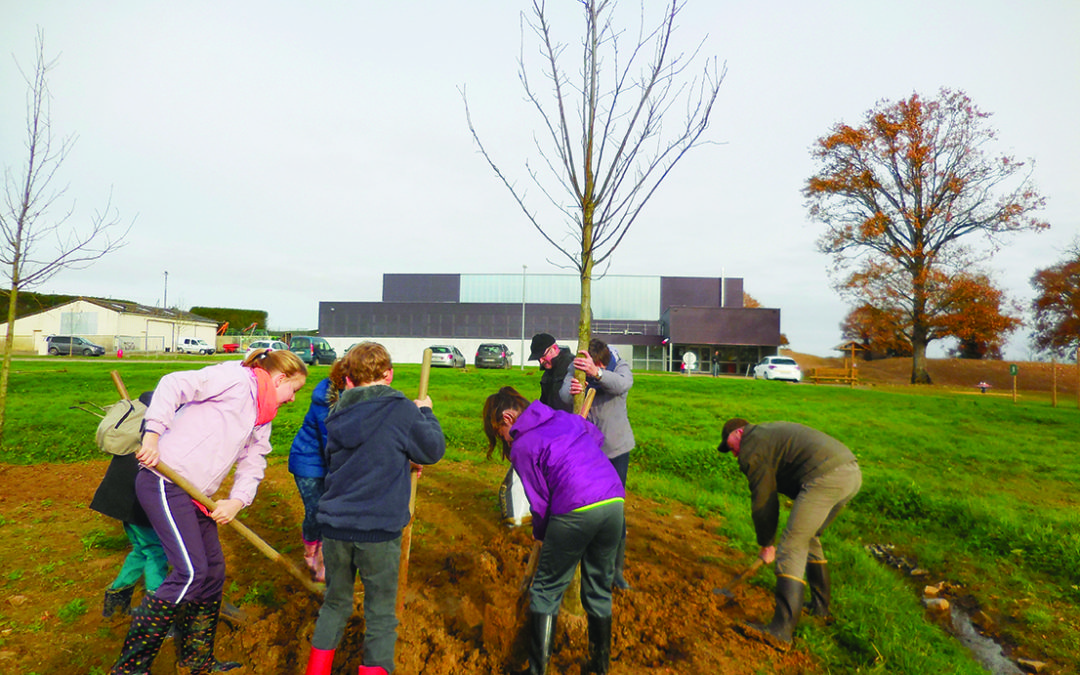 Plantations dans la Zone de loisirs